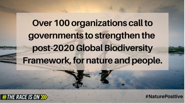 ACTED signe l’appel à l’action des acteurs non-étatiques pour que les gouvernements renforcent le cadre mondial de la biodiversité post-2020