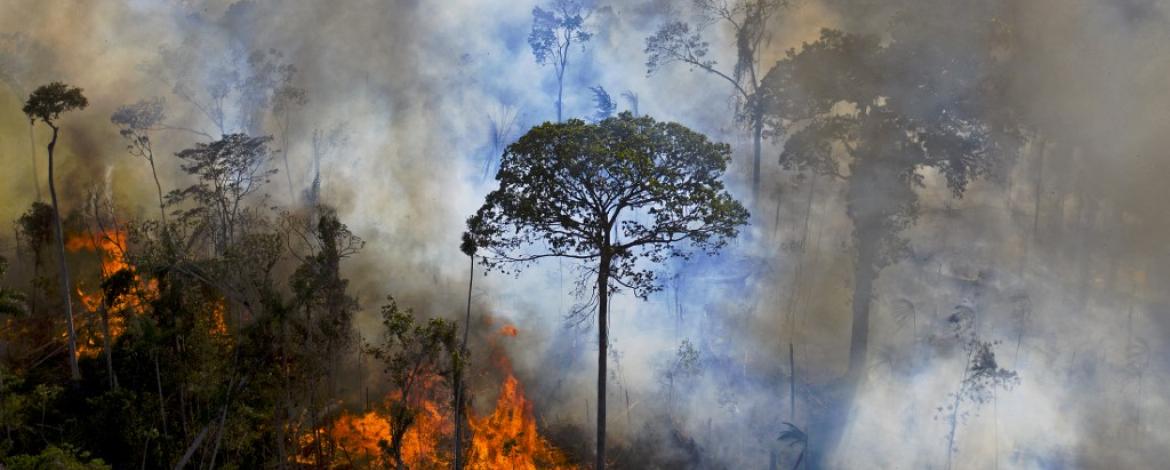 Droit à l’information : RSF et plus de 60 journalistes spécialistes de l’environnement alertent la COP26