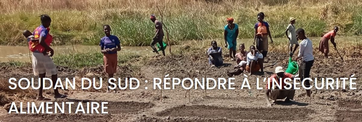 Soudan du Sud : répondre à l’insécurité alimentaire