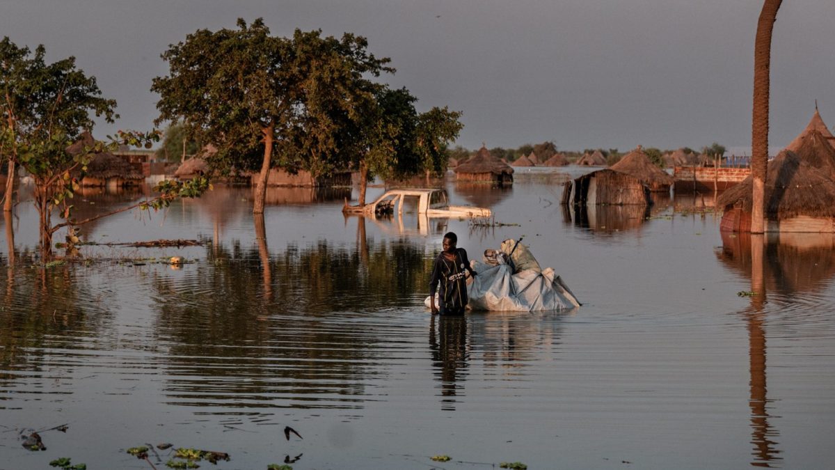 Les appels de MSF en marge de la COP28