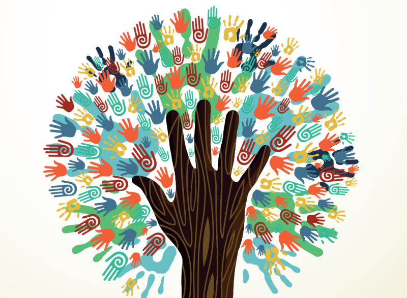 Réseau Humanitaire : 20 ans de solidarités sous le signe du nexus