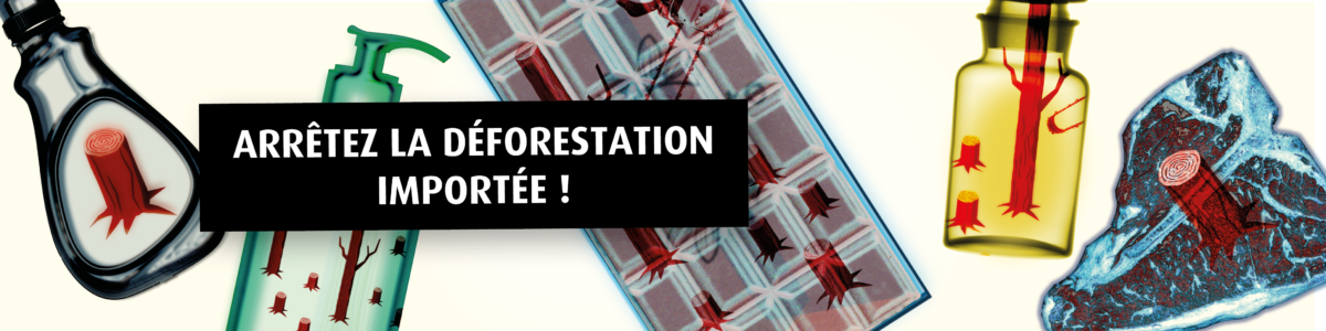 La Suisse sous pression : le Conseil fédéral doit mettre fin à la déforestation importée